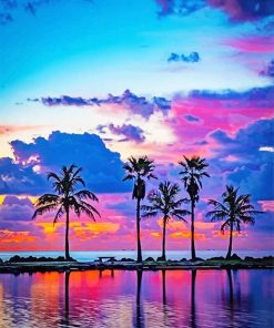Beautiful Sunset View Palms paint by number