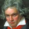 Beethoven Paint By Numbers