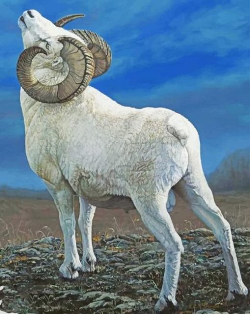 Big Horned Sheep paint by number