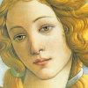 Birth Of Venus Botticelli Paint By Numbers