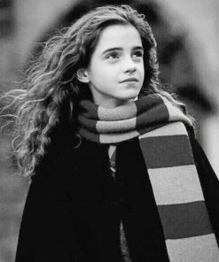Black And White Hermione Granger Paint By Numbers