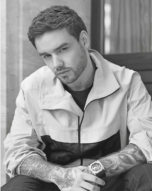 Black And White Liam Payne paint by number