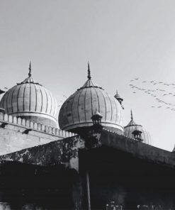 Black And White Mosque Photography paint by number