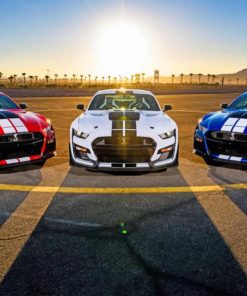 Blue Red White Mustang Cars paint by numbers
