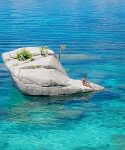Bonsai Rock Lake Tahoe in Usa paint by numbers