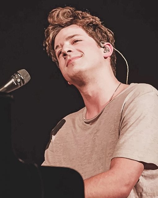 charlie puth on stage adult paint by numbers