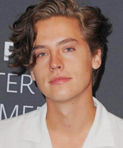 Cole Sprouse Curly Hair paint by numbers
