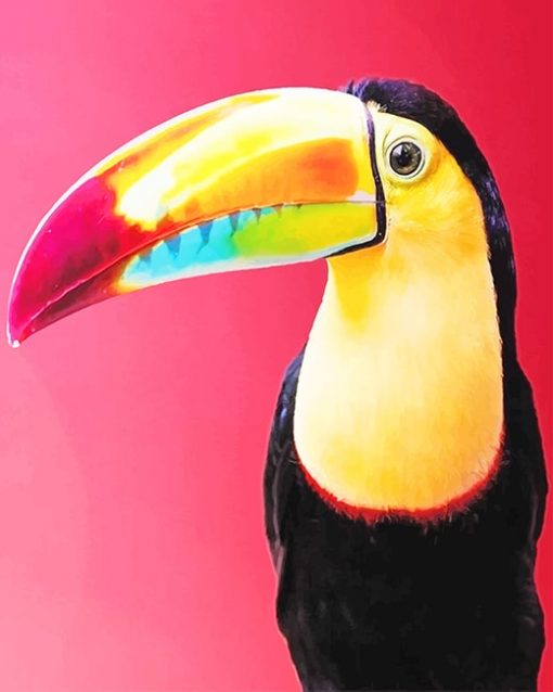 Colorful Toucan Paint By Numbers