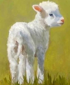 Cute Lamb paint by number