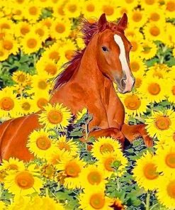 Cute Horse Sunflowers paint by number