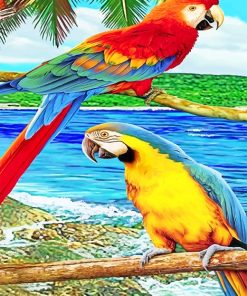 Cute Parrots paint by numbers