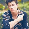 Cute Shawn Mendes Paint By Numbers