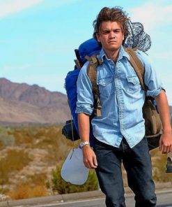 Emile Hirsch into The Wild paint by numbers