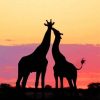 Giraffe Silhouette Sunset paint by numbers