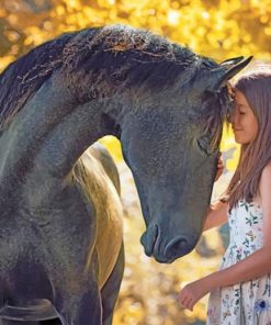 Girl and her Black Horse paint by numbers
