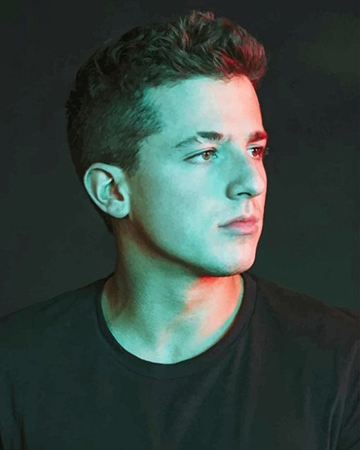 Handsome Charlie Puth Wearing Black Paint By Numbers