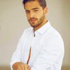 Handsome Colombian Singer Maluma Paint By Numbers