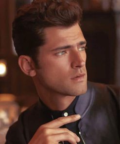 Handsome Sean O pry Paint By Numbers