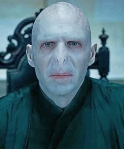 Harry Potter Lord Voldemort Paint By Numbers