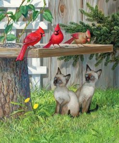 Kittens And red BirdsPaint By Numbers