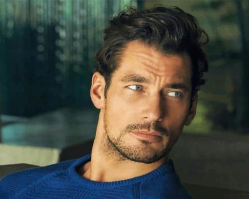 Male Model David Gandy Paint by Numbers