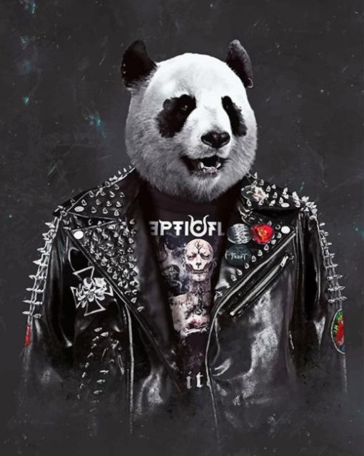 Panda Rock Star Paint By Numbers