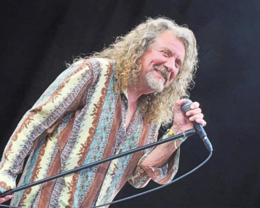Robert Plant Performing paint by number