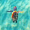Sea Turtle Rainbow paint By Numbers