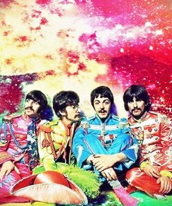 the colorful beatles adult paint by numbers