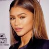 The Famous Actress Zendaya paint by numbers