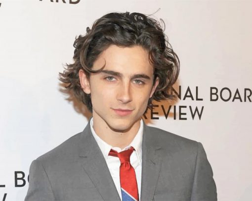 The Handsome Timothee Chalamet with Classy Suit paint by numbers