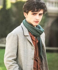 Timothee In Little Woman paint by number