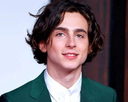 Timothee Chalamet With Green Suit paint by numbers