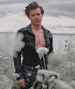 Vintage Photoshoot Harry Styles Paint By numbers