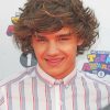 Cute Young Liam Payne Paint By Numbers