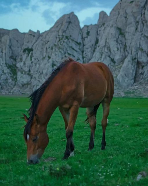 Brown Horse In Nature paint by numbers