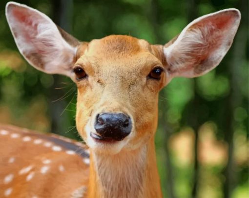 Brown Reindeer In Thailand paint by numbers