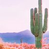 Cactus In Phoenix Arizona paint by numbers