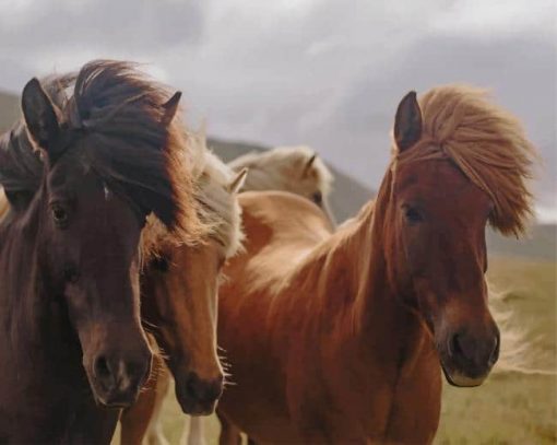 Herd Of Horses paint by numbers