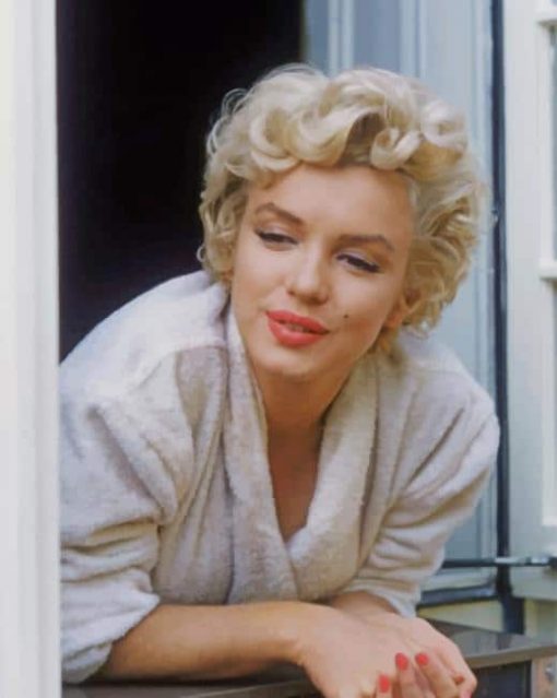 Marilyn Monroe Mood paint by numbers