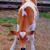 Cute Beautiful Cow paint by numbers