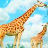 Giraffes Family Mother And Baby paint by numbers