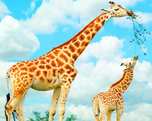 Giraffes Family Mother And Baby paint by numbers