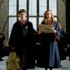 Harry Potter And Hermione Granger paint by numbers