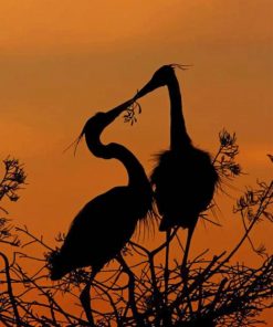 Heron Silhouette paint by numbers