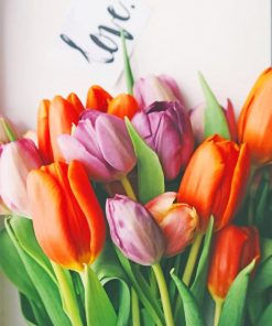 Orange And Purple Tulips paint by numbers