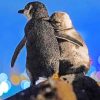 Penguins Watching Night Sky paint by numbers