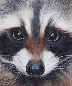 Racoon Portrait paint by numbers