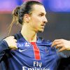 Zlatan Ibrahimovic The Lion paint by numbers