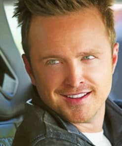 Actor Aaron Paul paint by numbers